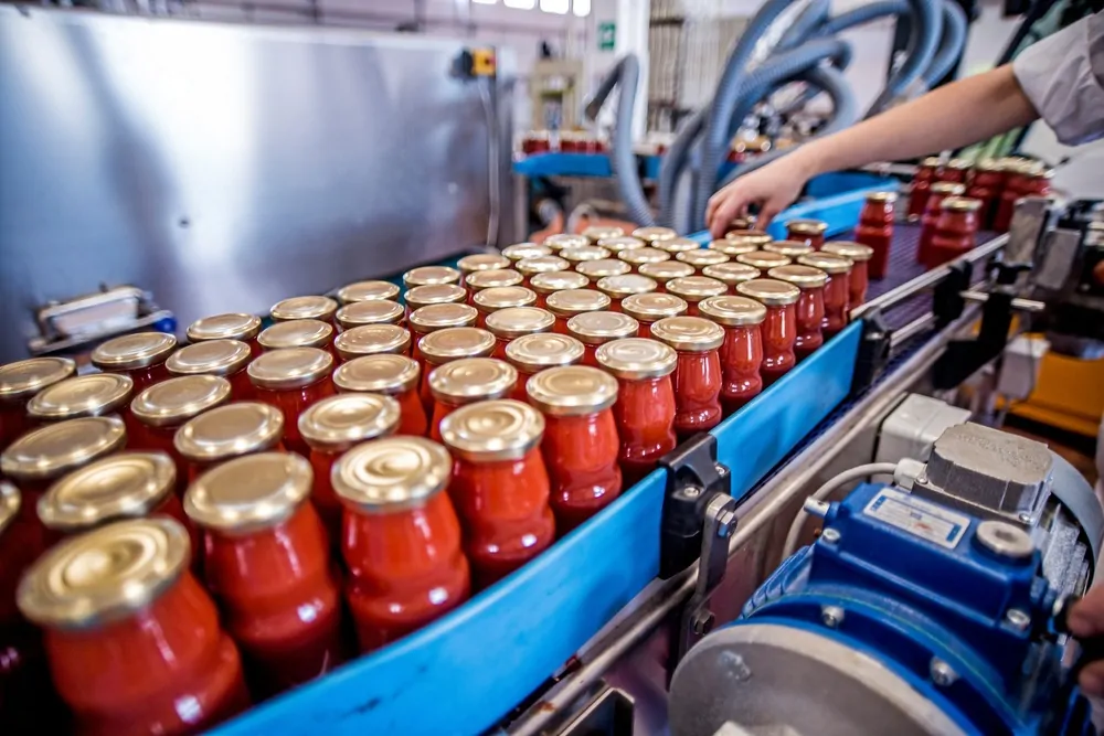 Alimentation végétale ultra-transformée : quels impacts sur la santé ?