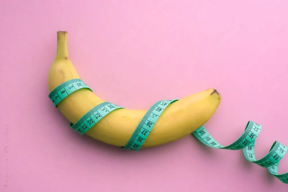 Ce que révèlent les sex toys sur les préférences des femmes concernant la taille du penis